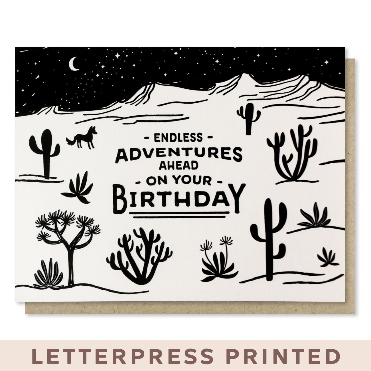 Endless Birthday Adventure Card Case of 6