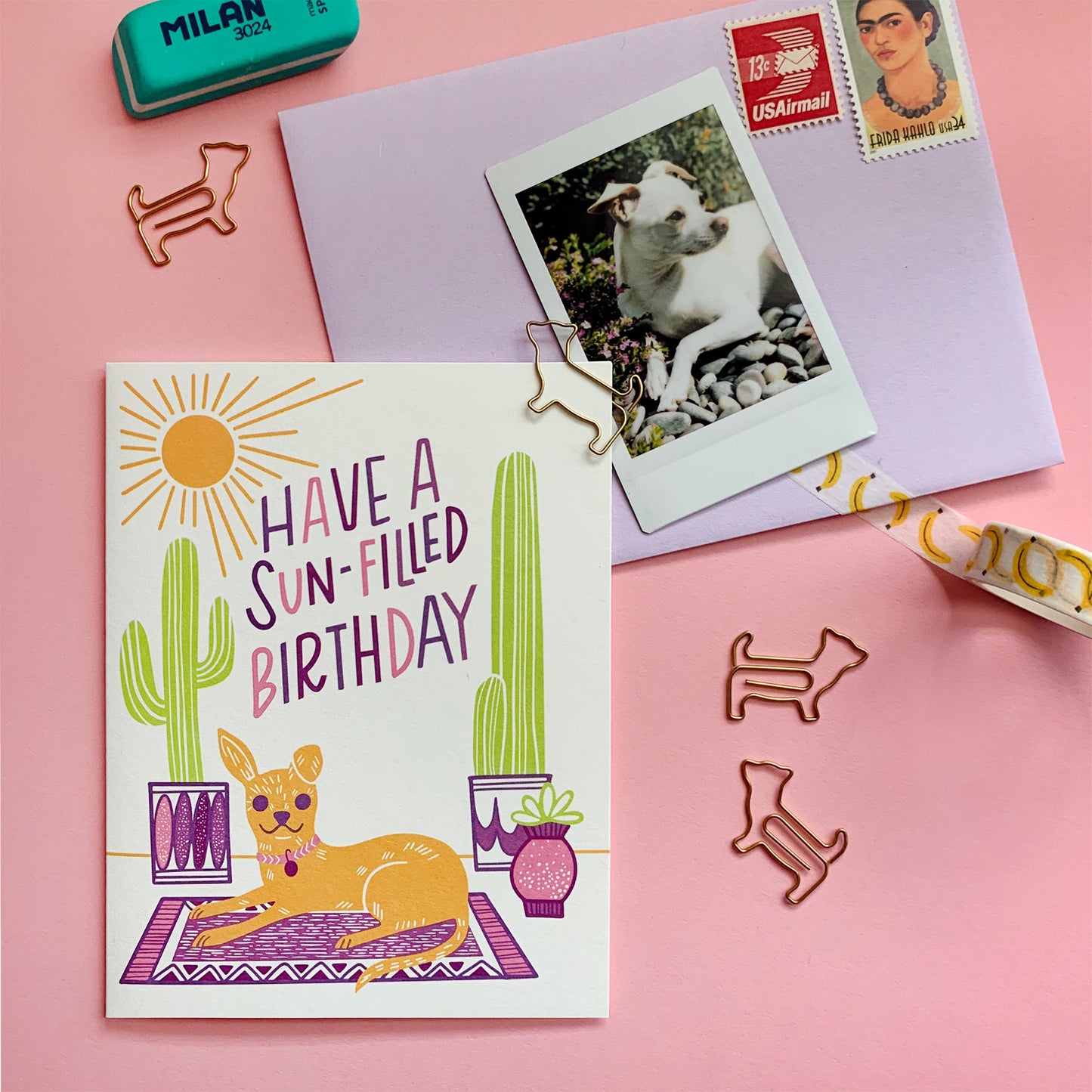 Sun-Filled Birthday Card Case of 6