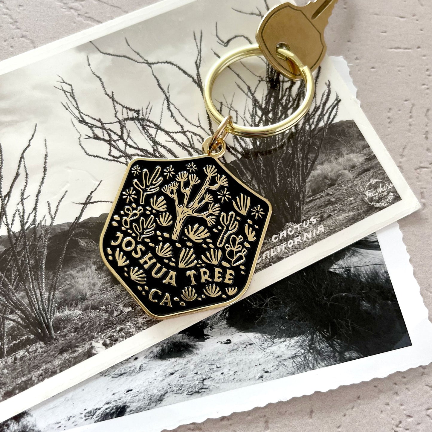 Joshua Tree National Park Enamel Keychain Case of 3