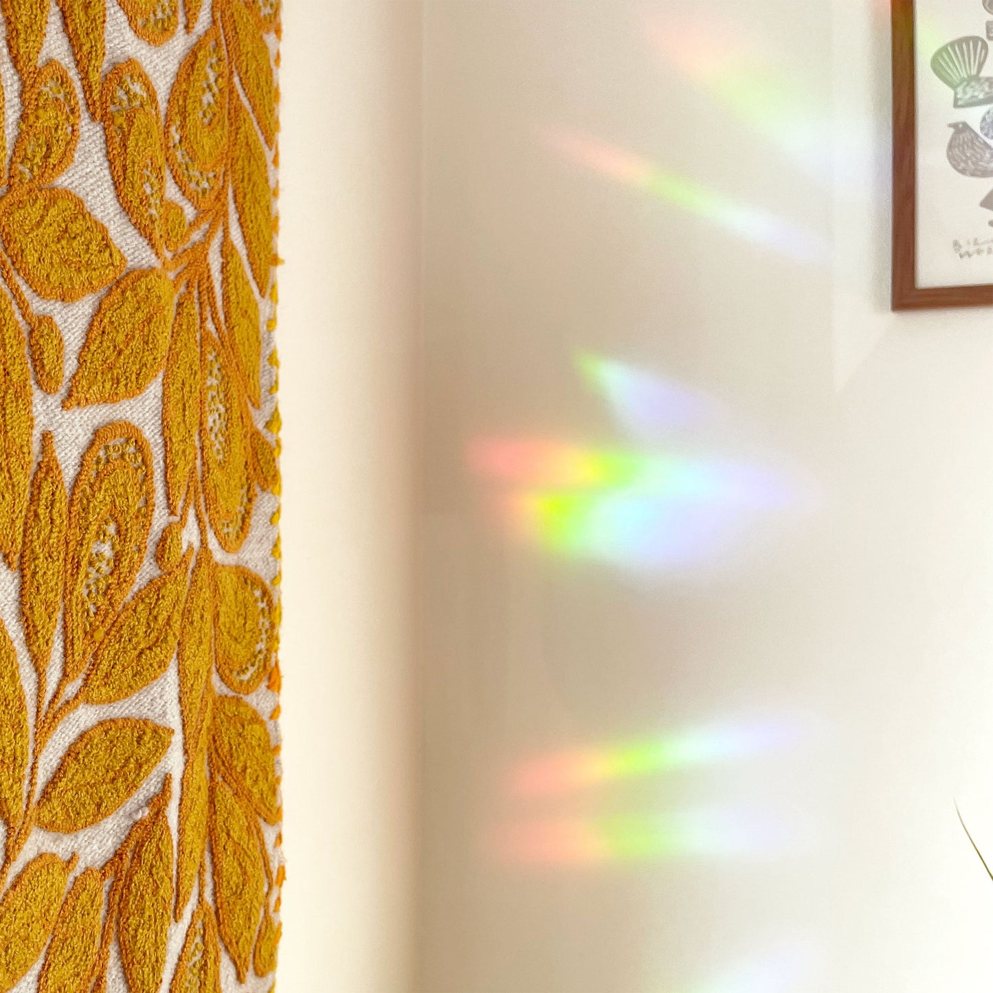 Today is Magic Suncatcher Decal Case of 3