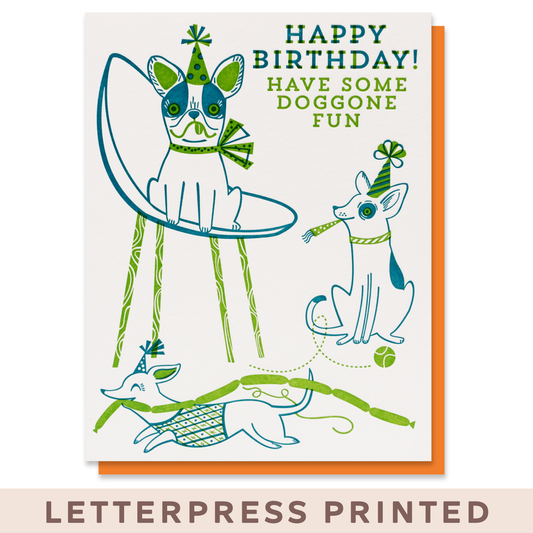Doggone Fun Birthday Card Case of 6